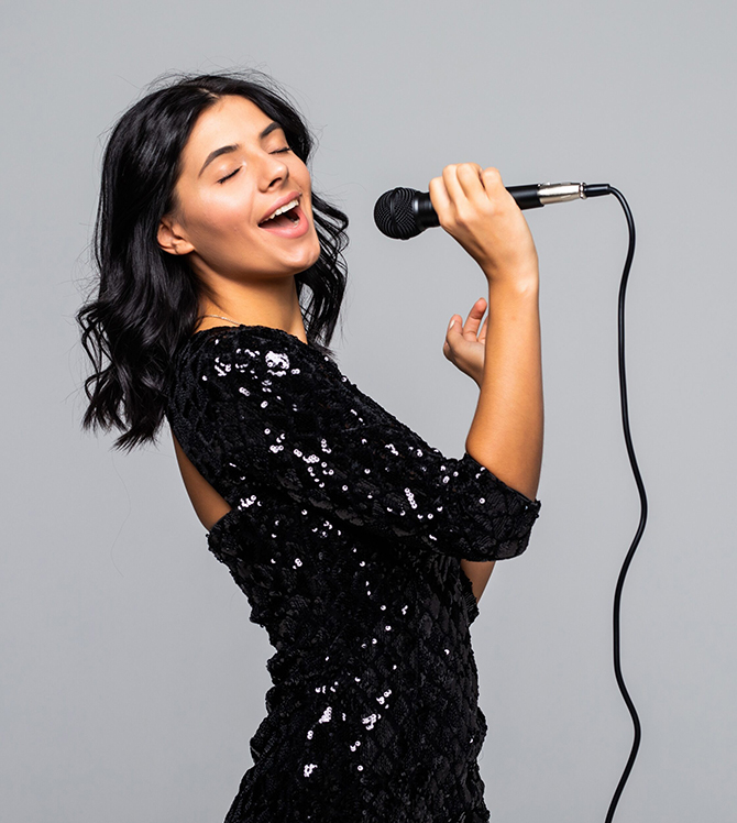 Problems of Professional Voice  Users